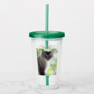 Verre En Acrylique Cat