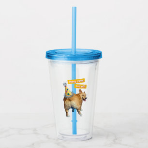 Verre En Acrylique Chapeau d'anniversaire pour derrière de Corgi