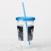 Verre En Acrylique Chevaux à lancer l'oreiller (Gauche)