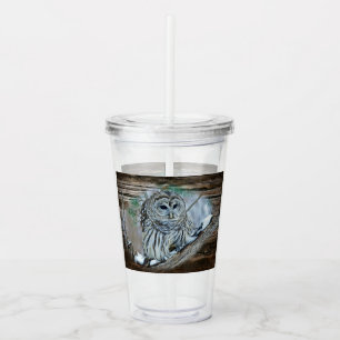 Verre En Acrylique Chouette