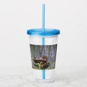 Verre En Acrylique Closeup photo of a duck