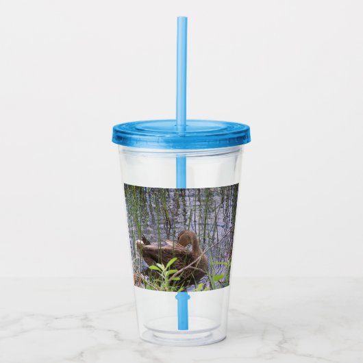 Verre En Acrylique Closeup photo of a duck (Devant)