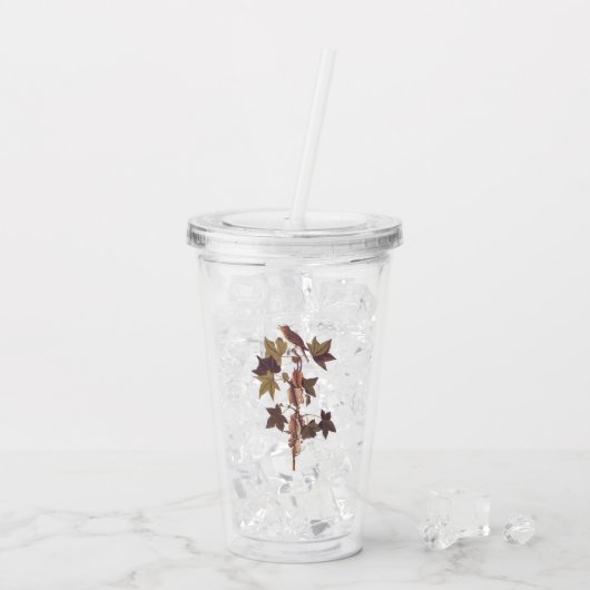 Verre En Acrylique Colibri Audubon Traill (Dos glace)