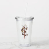 Verre En Acrylique Colibri Audubon Traill (Dos)