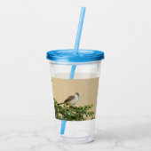 Verre En Acrylique Épervier (Dos)