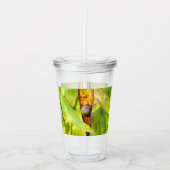 Verre En Acrylique fixation calme (Devant)