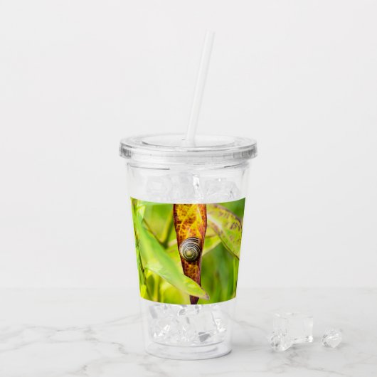 Verre En Acrylique fixation calme (Dos glace)