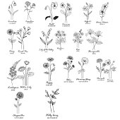 Verre En Acrylique Fleur de naissance personnalisée avec nom Proposit