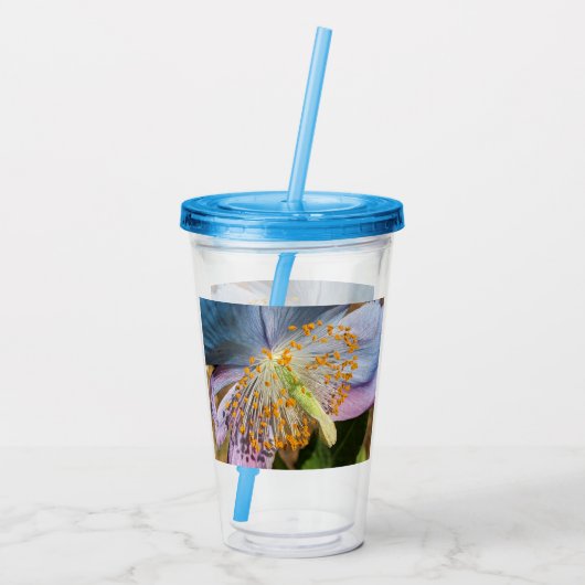 Verre En Acrylique Flore de fleurs de crapaud bleu (Dos)