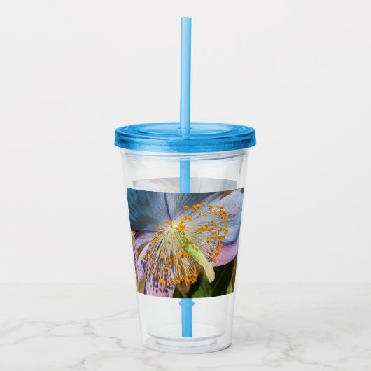 Verre En Acrylique Flore de fleurs de crapaud bleu (Devant)