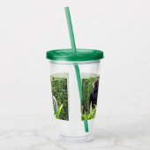 Verre En Acrylique Gorille d'Argent - Paruline acrylique (Gauche)