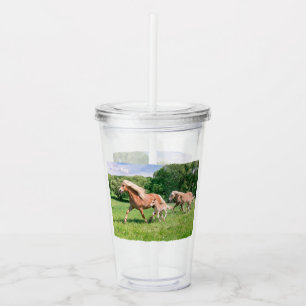 Verre En Acrylique Haflinger Horses Cute Fote Fote Run Funny Animal P