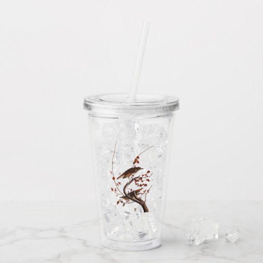 Verre En Acrylique Hermite Grive Audubon Oiseau aux baies rouges (Dos glace)