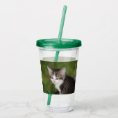 Verre En Acrylique Kitten (Dos)