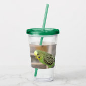 Verre En Acrylique Kiwi (Dos)