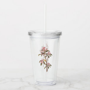 Verre En Acrylique L'Oiseau de couvier d'Audubon sur Calico Rose