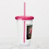 Verre En Acrylique L'orchidée de Cattleya et trois colibris Heade (Droite)