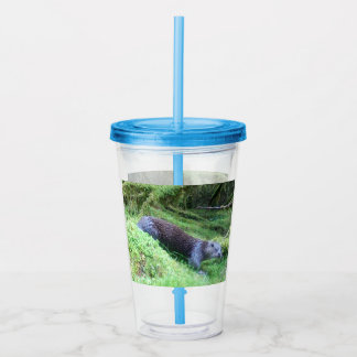 Verre En Acrylique Loutre calme de la rivière Scénique Faune Relaxant