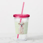 Verre En Acrylique Morkie (Dos)
