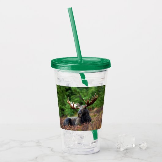 Verre En Acrylique Oie (Devant glace)