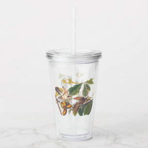 Verre En Acrylique Oiseaux de cacao à bec jaune Audubon dans un arbre
