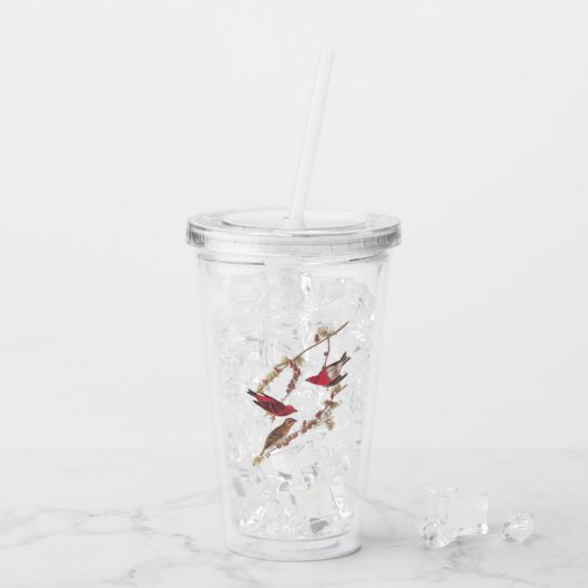 Verre En Acrylique Oiseaux rouges pourpres d'Audubon sur l'arbre à co (Dos glace)