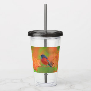 Verre En Acrylique Orchard Oriole Songbird Peinture Oiseau original