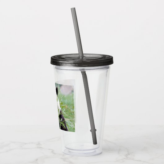 Verre en acrylique. Panda géant photo, panda gente (Gauche)