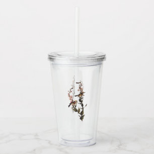 Verre En Acrylique Paruline audubon ornithologique à châtaignes sur F
