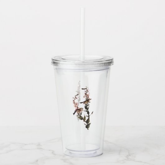 Verre En Acrylique Paruline audubon ornithologique à châtaignes sur F (Devant)
