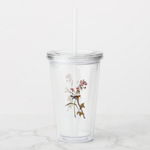 Verre En Acrylique Paruline noire Vintage Audubon Songbird Art