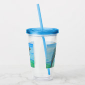 Verre En Acrylique Peinture sur dauphin (Gauche)