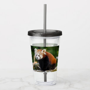 Verre En Acrylique Petit Panda Roux
