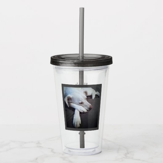 Verre En Acrylique Photo Sleeping Chien Rapide récupération obtenir b (Devant)