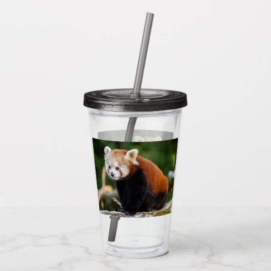 Verre En Acrylique Red Panda Firefox (Dos)