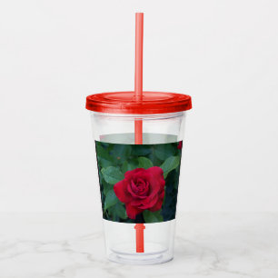 Verre En Acrylique Rose Rouge de Près