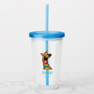 Verre En Acrylique Scooby-Doo a excité le visage