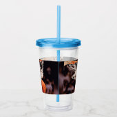 Verre En Acrylique Scoring de basket-ball (Droite)
