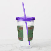 Verre En Acrylique Sud-ouest Roadrunner Sagebrush Green (Gauche)