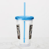 Verre En Acrylique Tableau Raccoon (Droite)