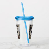 Verre En Acrylique Tableau Raccoon (Gauche)