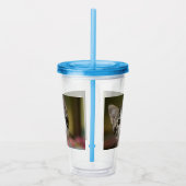 Verre En Acrylique Un chaton mignon aux yeux verts (Droite)