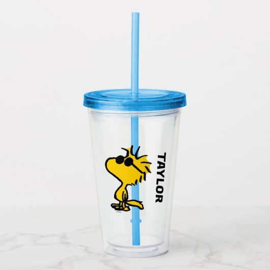 Verre En Acrylique Woodstock In Sunglasses (Devant)