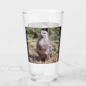 Verre Escalier de buzzard (Dos)