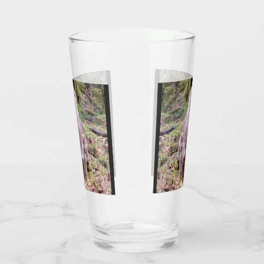 Verre Escalier de buzzard (Droite)