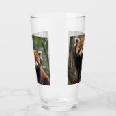 Verre "Explorateurs en haut de l'arbre : Pandas rouge bé (Gauche)