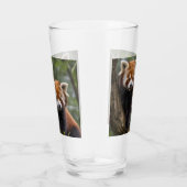 Verre "Explorateurs en haut de l'arbre : Pandas rouge bé (Droite)