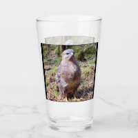 Faucon pèlerin personnalisable Oiseaux Regardant l