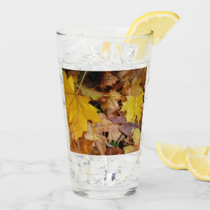Verre Feuilles de Érable Tombées Jaune Automne Nature