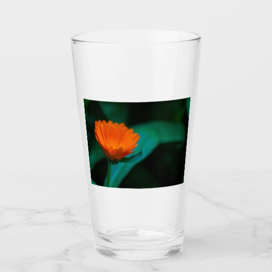 Verre Fleur de marguerite orange (Devant)